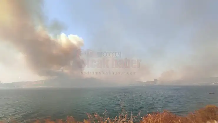 Bodrum'daki orman yangınıyla ilgili soruşturma başlatıldı