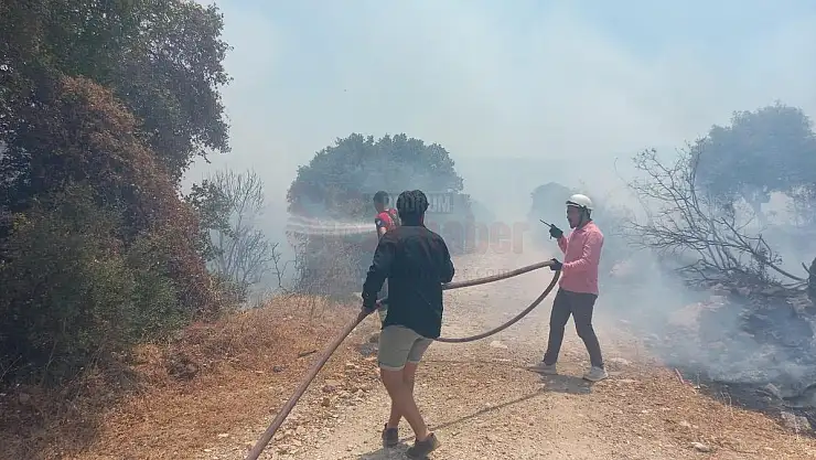 Bodrum'daki Yangın 3 Saatlik Çalışmayla Söndürüldü