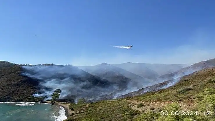 Bördübet Yangınında Üç Kişi Gözaltına Alındı