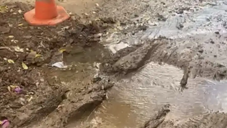 Bu ne perhiz bu ne lahana turşusu