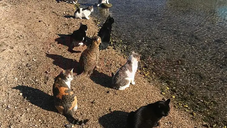 Bu Zamana Kadar Yaptığımız En Anlamlı Haber...