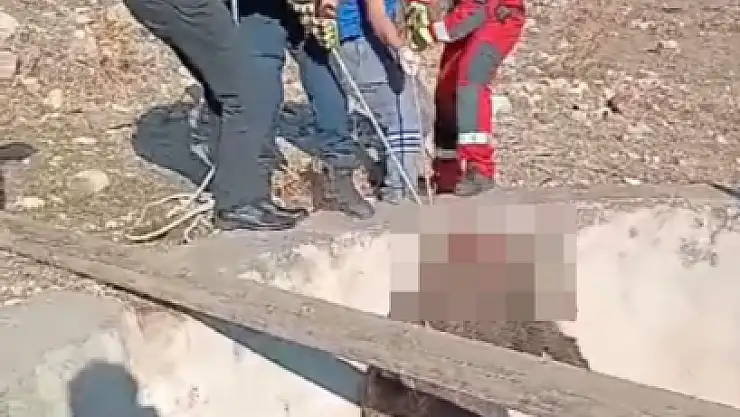 Bulunduğu Yerden Kurtarıldı