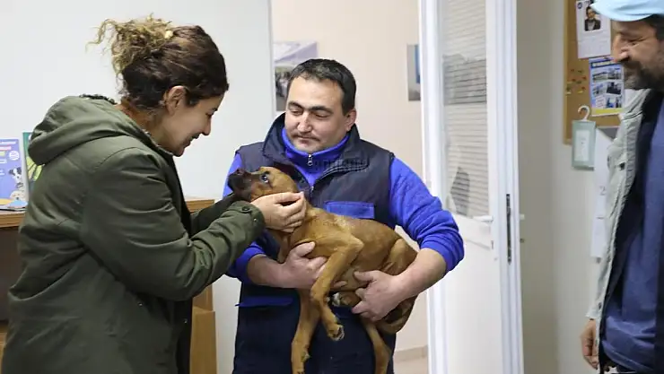 Büyükşehir 3 bin 83 Candostu Sahiplendirdi