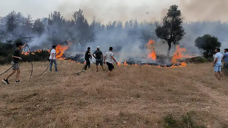 Büyükşehir Belediyesi'nden Anız Yangınlarına Karşı Uyarı