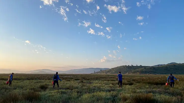 Büyükşehir'den sivrisineğe bilimsel müdahale