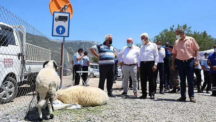 Büyükşehir Mezbahalarına Kurban Bayramı'nda Yoğun İlgi