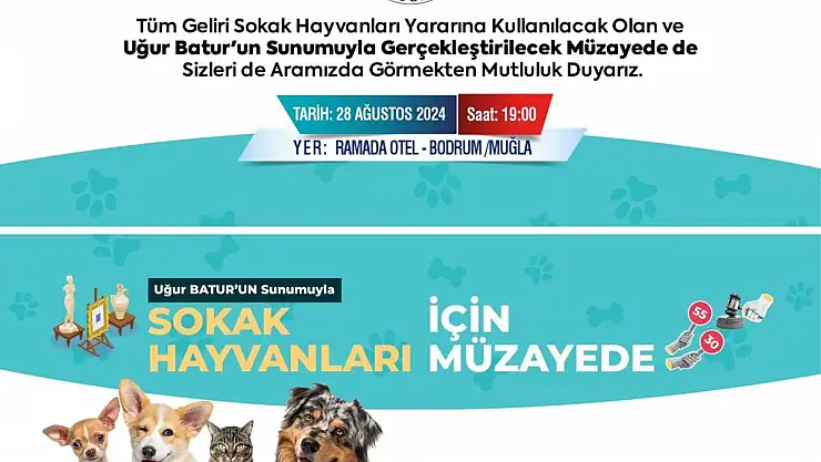 Büyükşehir'den Sokak Hayvanları Yararına Müzayede