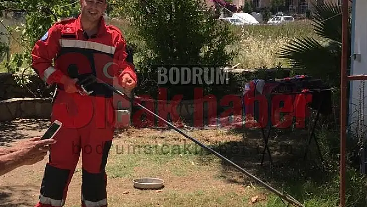 Buzdolabının motoruna giren yılan yakalanıp doğaya salındı