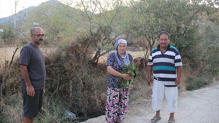 Çevre Kirliliğine Neden Olan Lağım Suları Tepki Çekiyor