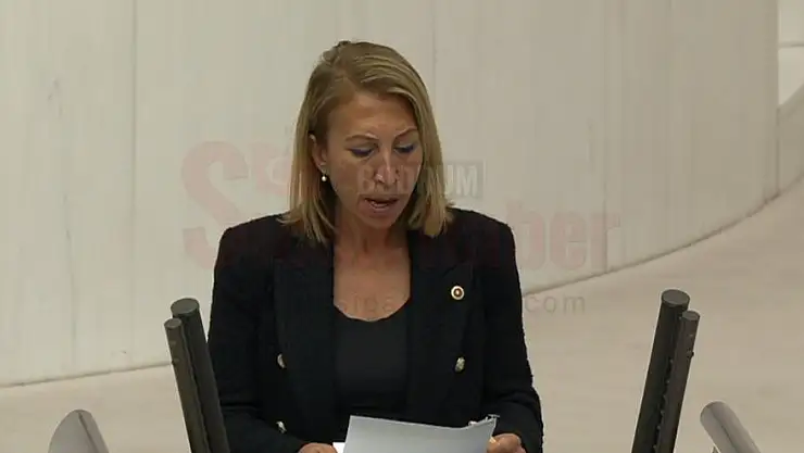 CHP Milletvekili Süreyya Öneş Derici'den Sert Çıkış