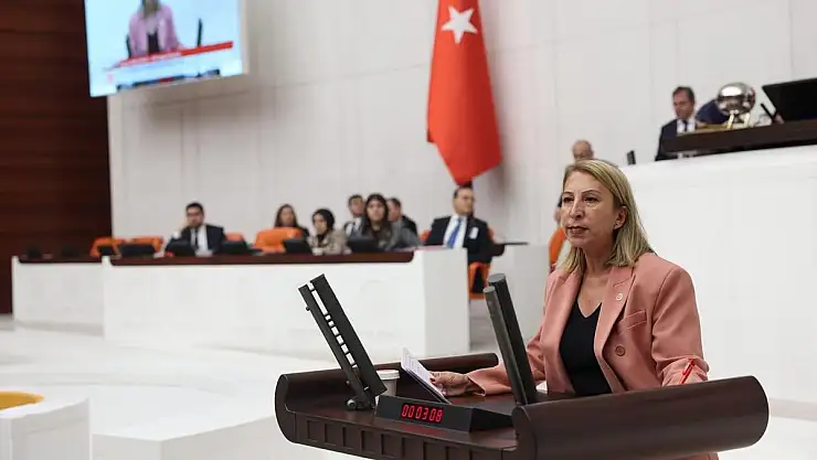 CHP'li Öneş Derici'den Göçmenler ve Sığınmacılarla İlgili Soru Önergeleri