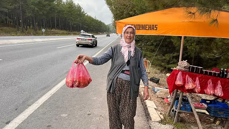 Çıntar tezgahlarda