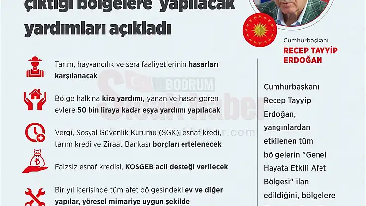 Cumhurbaşkanı Erdoğan, yangınların çıktığı bölgelere yapılacak yardımları açıkladı
