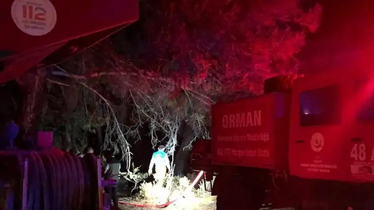 Datça'da çıkan orman yangını söndürüldü