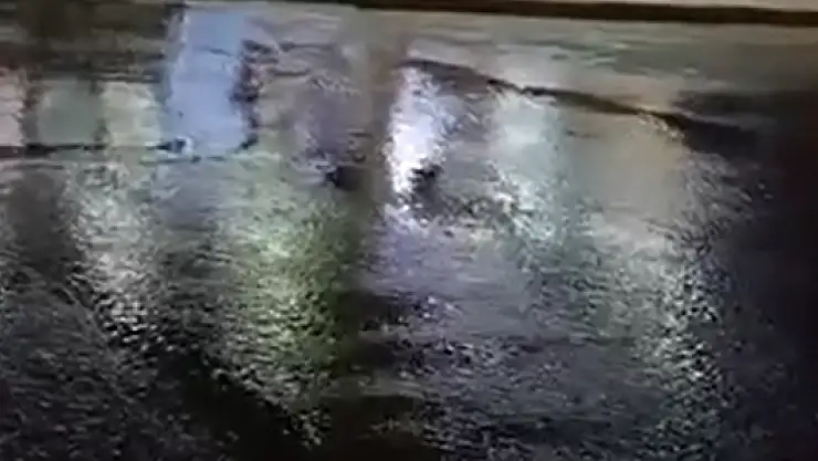 Defalarca bildirdik, kimse gelmedi iddiası