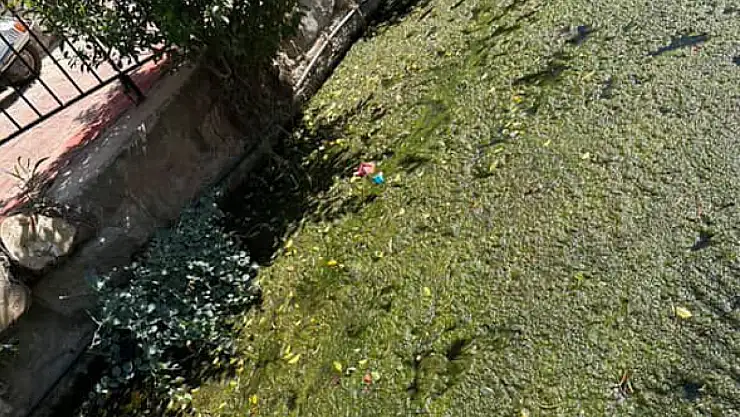Denize akan derelerin pisliği tepkiye yol açtı !