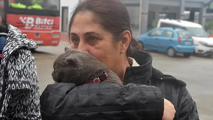 Depremzede Aile 28 Gün Sonra Kedisine Kavuştu