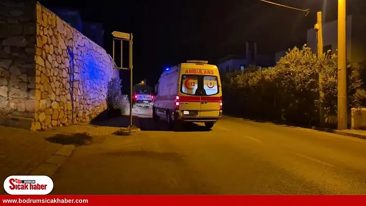 Domuz sürüsü kazaya neden oldu