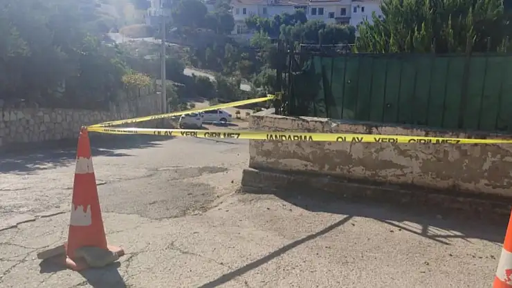 Domuz sürüsünden kaçarken ağır yaralandı