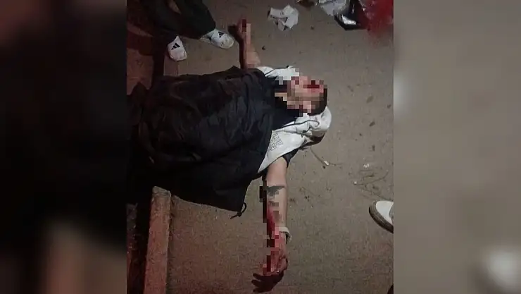 Domuza çarpmamak için kaza yaptı