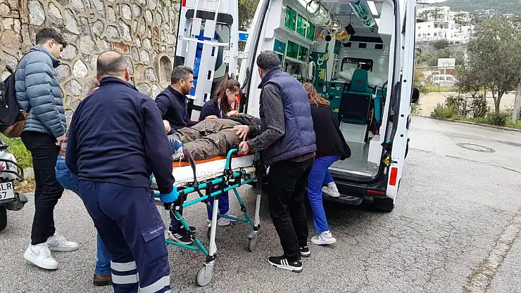 Domuza Çarpmamak İçin Kaza Yaptı