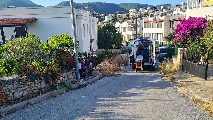 Dut Toplamak İsterken Düşüp Yaralandı