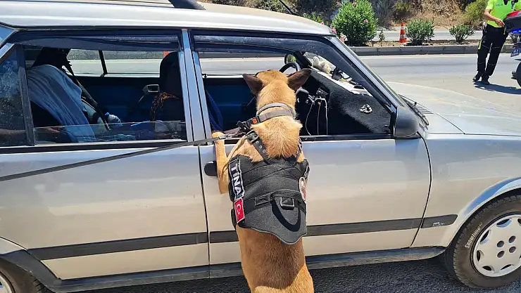 Ekipler 24 Saat Aralıksız Denetim Yapıyor