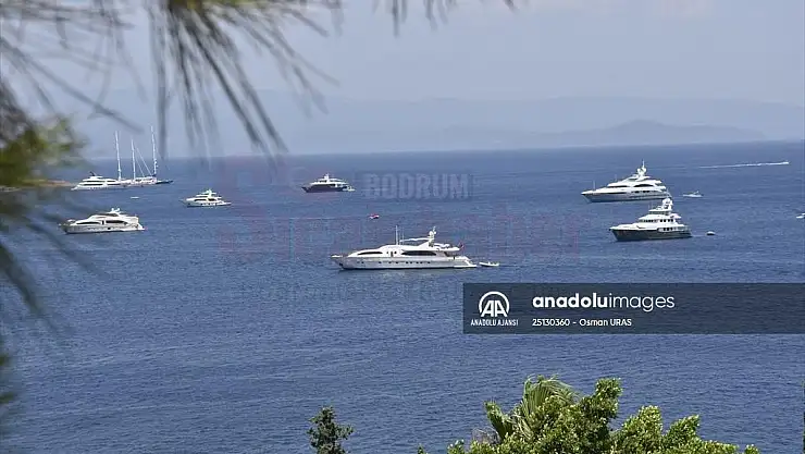 El değmemiş koyların 'milyon dolarlık' misafirleri denizlere renk kattı