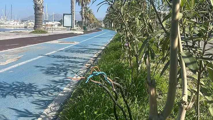 Elektrik Kabloları Açıkta, Can Güvenliği Tehlikede