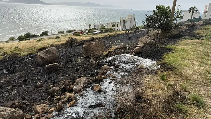 Elektrik Telleri Yangın Çıkardı: Müdahale Sürüyor