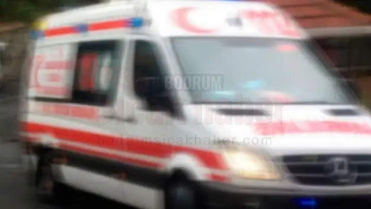 Eşinin Kestiği Dal Üzerine Düştü, Hayatını Kaybetti