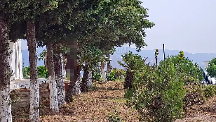 Evinde Kendini Asarak İntihar Etti
