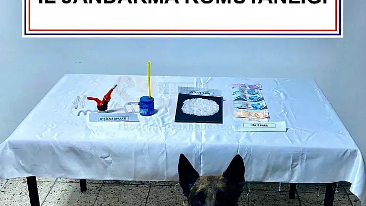 Evinde Uyuşturucu Madde Bulundu