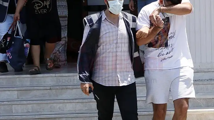 Evlerden hırsızlık yaptığı iddia edilen zanlı tutuklandı