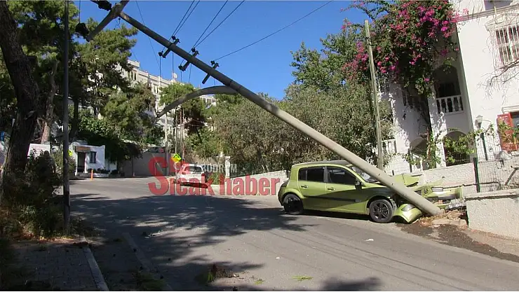 Facianın Eşeğinden Döndü 2 Yaralı