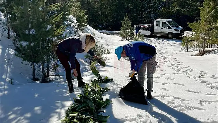 Fethiye'de yaban hayvanları için doğaya yem bırakıldı...