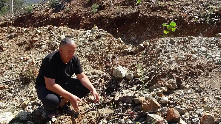 Fidan Dikerken Bulunan Cüzdan 20 yıl Önce Çalınmış