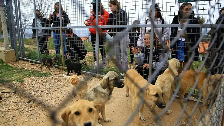 Geçici Hayvan Bakımevi Milli Piyango Kız Yurdu Öğrencilerini Ağırladı