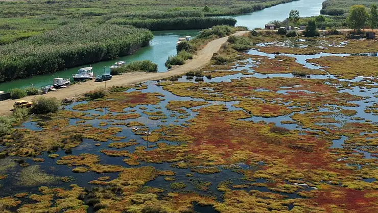 Gökçe Sulak alanı yeniden hayat buluyor