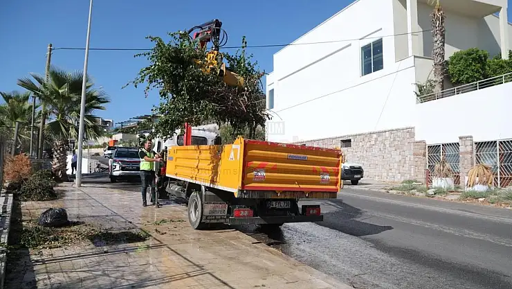Gümbet Mahallesinde Kapsamlı Temizlik Başlatıldı