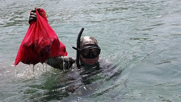 Gümbet'te Deniz Dibi Temizliği