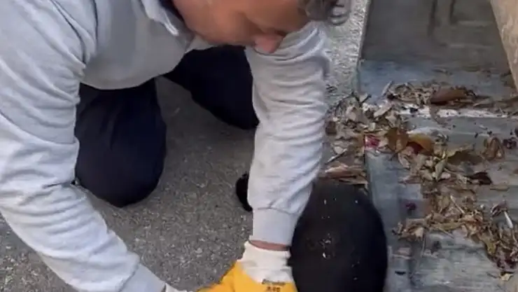 Günün kahramanı Bodrum temizlik işçileri