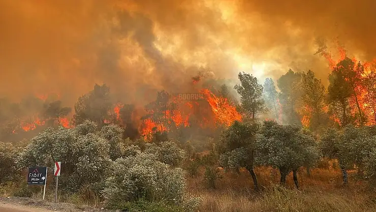 Güvercinlik Ormanlık Alanda Yangın Çıktı