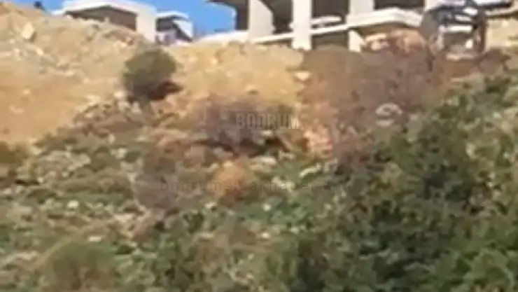 Hafriyat Döküm Yeri Gösterilmedikleri İçin Bunu Fırsata Çevirdiler