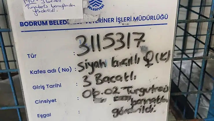 Hakkındaki İddialara Belgelerle Cevap Verdi
