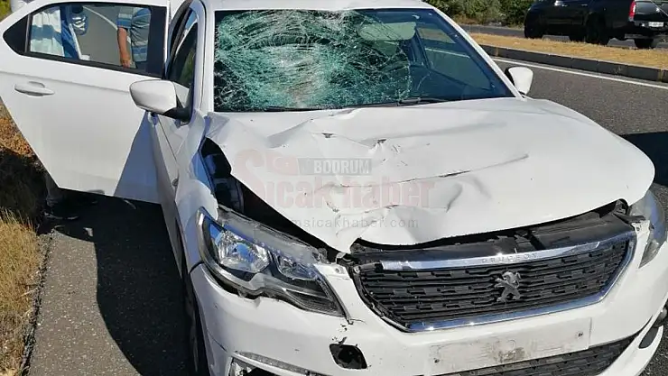 Hastaneye Giderken Otomobilin Çarptığı Kadın Hayatını Kaybetti