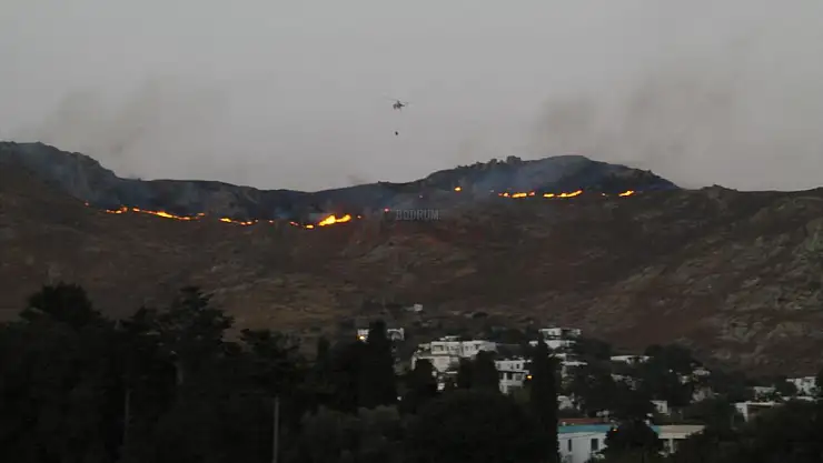 Havanın Kararmasıyla Helikopterler Geri Çekildi, Yangın Gümşlük Mahallesindeki Yerleşim Yerlerine Doğru İlerlemeye Devam Ediyor
