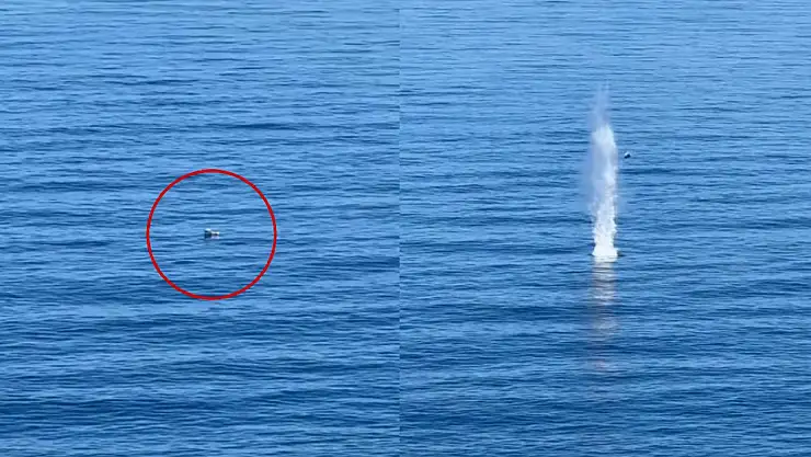 Hayalet ağ temizliğinde deniz mayınına rastlandı