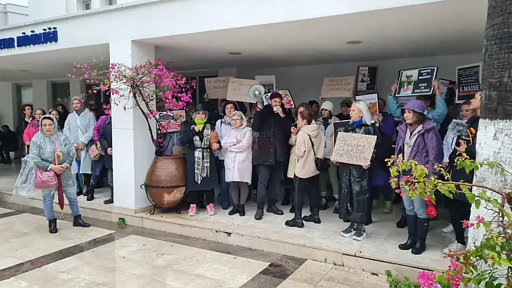 Hayvan Severler 81 İlde Eş Zamanlı Sokak Hayvanları İçin Eylem Yaptı