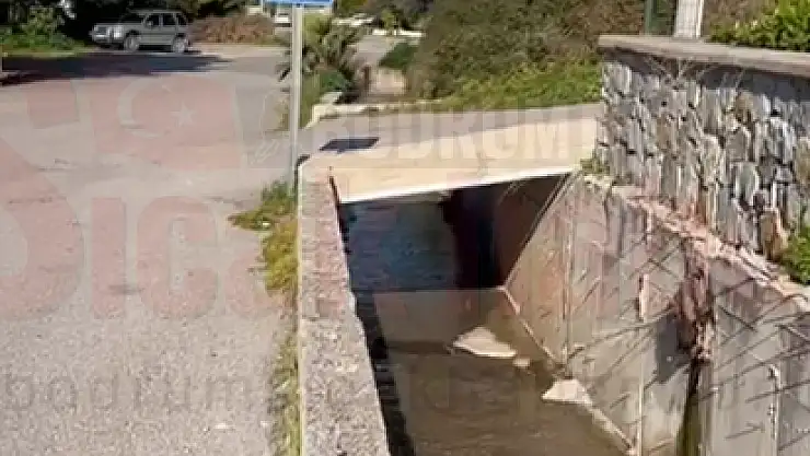 Hem Koku Hem Tehlike Saçıyor